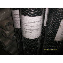 Galvanisé Hexagonal Wire Mesh 3/4 &#39;&#39;